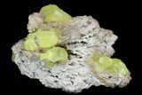 Sulfur Crystals on Matrix - Italy #92616-2